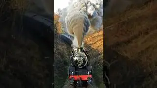 Steam Train 🚂🚃 #railway #steamtrain #youtubeshorts #trending #travel #shorts
