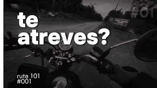 ruta 101 salvaje