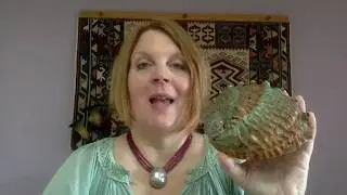 Seashell Healing: Crystals from the Sea