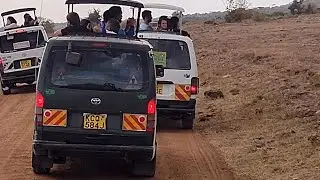 Is a Masai Mara Safari Worth the Hype? YES #travel #safari #family