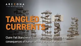 Contemporary Art Made With Mushrooms: Tangled Currents