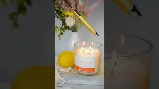 Smell the Sunshine ☀️ | Citrus Zest Candle &ndash; Buy Now! #estrellablanca  #amazonfinds #scentedcandles
