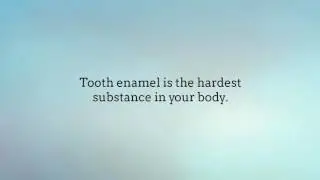 Winchester Pediatric Dentist | 5 Fun Teeth Facts