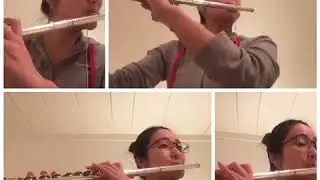 Georg Abraham Schneider/ Quartet n.1 2nd mvt