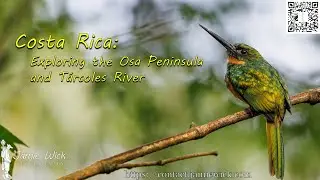 Jamie Wick, &ldquo;Costa Rica: Exploring the Osa Peninsula and the Tarcoles River&rdquo;