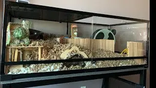 Changed white tissue bedding to brown paper bedding.