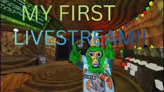 my first livestream!