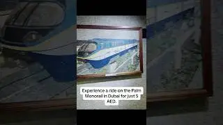 Palm Mono Rail For 5 AED  #monoraildubai #palmmonorail #dubailife #dubaimonorail #foodindubai #dubai