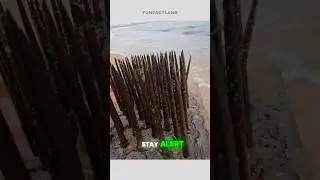 Beach Caution: The Hidden Danger! #BeachSafety #UnexpectedFind
