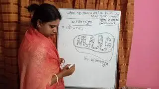khulna collectorate public school and college/