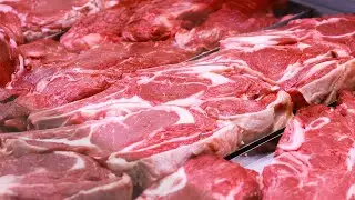 30-Day Carnivore Diet - Part 1 - Weigh In