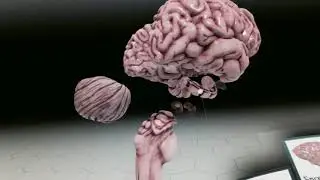 VRBrain Unity3d C#  HTC valve steam