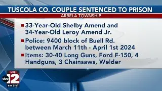 Tuscola County couple pleads guilty to stealing from residence