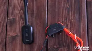 Электронный ошейник Dogtra Pathfinder с GPS-навигатором &ndash; Начало работы