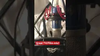 Voice Acting Home Studio Microphones #shorts (Sennheiser MKH416 + S87 beats Neumann U87 for me)