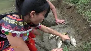 Survival Skills: Digging Star Hole to build Fish trap catch a lot of Fish - Cooking delicious Fish