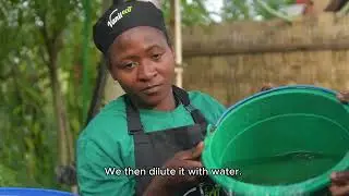 Liquid Compost in Action &ndash; How Vanileco Feeds Its Vanilla Plants Naturally.