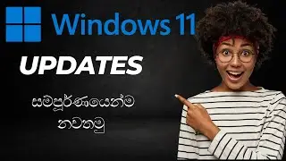 How to stop automatic updates on Windows 11 / Explained in Sinhala
