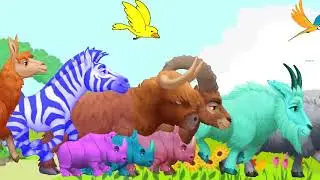 green screen animals running || stampede green screen animals || animal stampede green screen