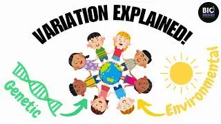 Improve your grades: Variation Explained Simply! | GCSE Biology | Genetic vs Environmental Variation