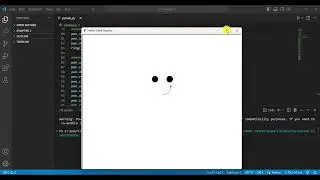 Panda Graphics using Python Turtle Graphics || VS Code || #python #pythonprogramming #turtle #panda