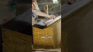 Она превратила бамбук в бумагу
