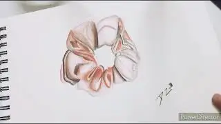Scrunchie drawing
