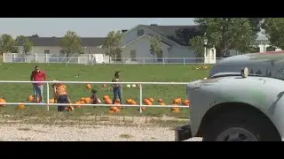 Pumpkin season: Patches, fall festivals open around Austin