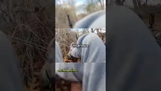 Kid Hit By Deer When Riding Bike
