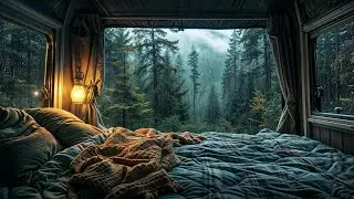 Forest Rain ASMR - Fall Asleep Fast with Pure Rain Sounds
