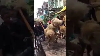 Chandan Nagar ki Sher