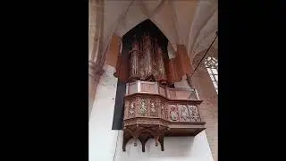 Favorite Historical European Organs 2. 1511  Van Covelens, Alkmaar, Netherlands