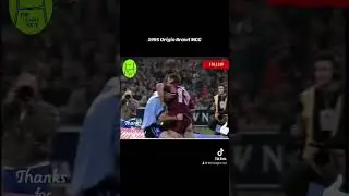 1995 State of Origin Brawl MCG #stateoforigin #nswblues #queenslander #rugbyleague