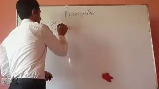 Funksiyalar və qrafiklər . dərs izahı 1