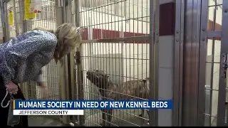 Ohio Humane society works to replace worn kennel beds for shelter dogs