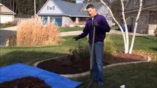 How to plant tulips and daffodils using Easy Bloom Pad