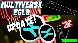 MultiversX (EGLD) Crypto Coin The Next Bull Run Winner