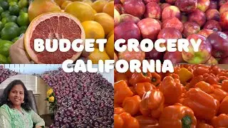 Budget Grocery in California | San Francisco Bay Area | Tamil Vlog