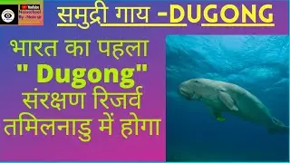 India's 1st dugong conservation reserve to be in Tamil Nadu in palk bay/ dugong- sea cows