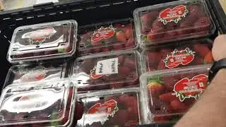 Metal Detection in Strawberries - Punnet vs crate? Needle in a haystack! | AD-4971 Series from A&D