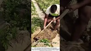 Directing the Flow: Channeling Water with a Hoe 🚜💦