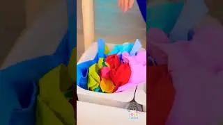 🧼 Let&rsquo;s Learn How to Do Laundry and Stay Mud-Free! 👕🚫💨