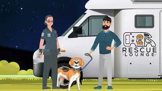Rescuelounge.org Bringing Happiness to the Helpless dogs of Rhode Island animal shelters