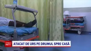 Un bărbat din Buzău a fost atacat de urs în plină stradă