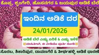 ದಿನಾಂಕ: 24.01.2026ರ ಅಡಿಕೆ ರೇಟ್ / Areca nut price date:24.01.2026 |kannada|