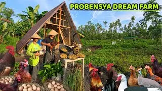 PROBENSYA DREAM FARM || PAGGAWA NG BAHAY PARA SA ALAGANG BABOY