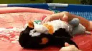 Webkinz Go Swimming