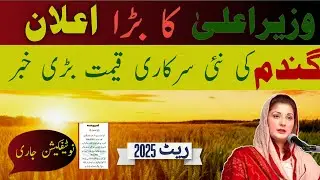 Wheat support price in Pakistan گندم کی نئی امدادی قیمت فائنل اعلان 2025