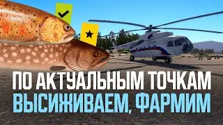 По актуальным точкам в поисках вкусного улова ● Русская рыбалка 4 ● Перчик РР4