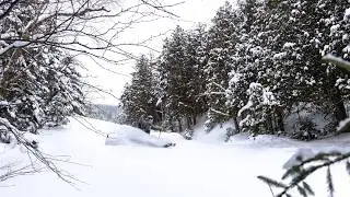 Dackcountry Episode 4: Chute Happens
